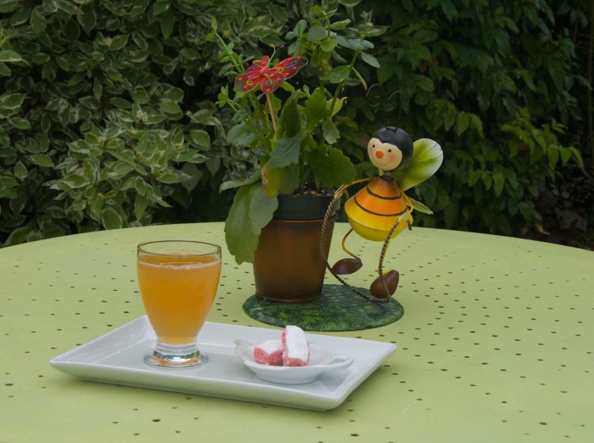 Les Rendzines Bed & Breakfast Nuisement-sur-Coole Exterior foto